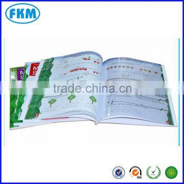Custom Printing Booklet Catalogue Flyers Leaflet Brochure Magazine Coloring Book Brochure Printing in China