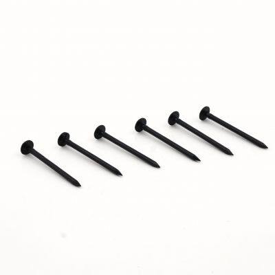 Blacked Common Wire Nails Q195 Low Carbon Steel With Rustproof Coating for Outdoor Use photo-2