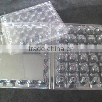 Factory Price 30 Holes Disposable Plastic Quail Egg Trays photo-4