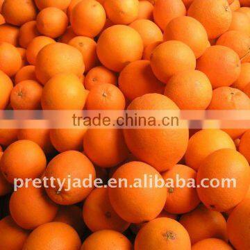 Navel Orange