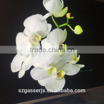 Outdoor Indoor Banner Eco-sovlent Ink UV Ink Printing Flex Advertisement Banner photo-4