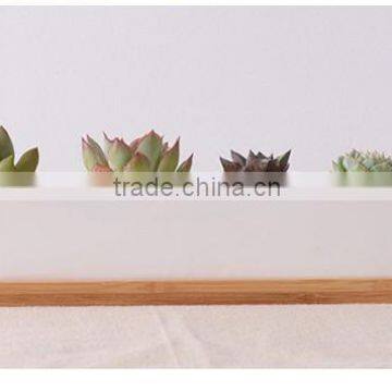 2016 Hot-sell Wholesale Price Artificial Tropical Mini Succulent Plant Pot Porcelain Flower Pot in Garden photo-6