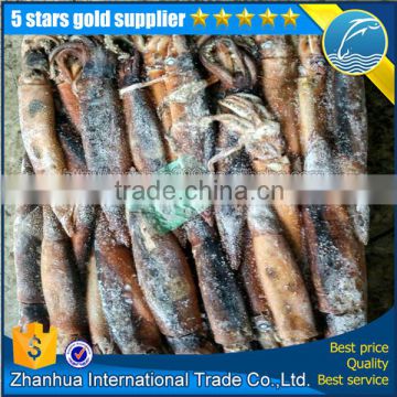 Seafrozen illex squid, argen squid Zhoushan price