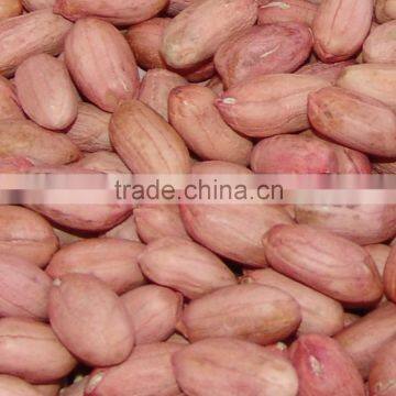 shandong peanut kernels-24/28