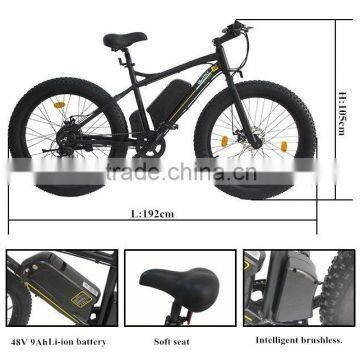 Fat Bike,removable Electric Bicycle Motor photo-4