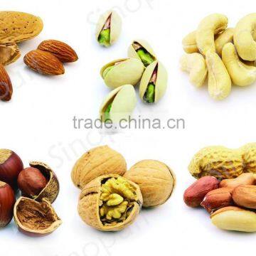 China Best Selling Peanut/Nuts Roaster Process Line photo-4