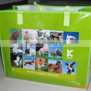 2011 fashion and ecofriendly pp laminated non woven bag