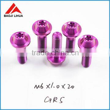 Best Factory Price Color Titanium Bolt Titanium Screws in Stock Quality Choice