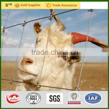 15cm mesh size high zinc coated Deer fence deer fence