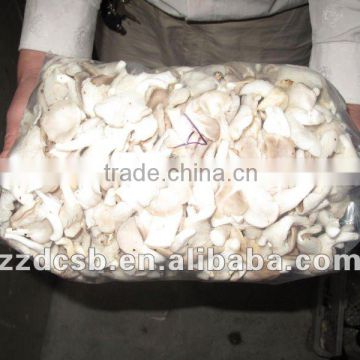 2.5kg LDPE plastic side gusset anti-fogging edible fungi packaging bag