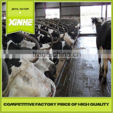 Short-time producer Hot-dip Galvanized Steel Pipe Cattle Lying Bar