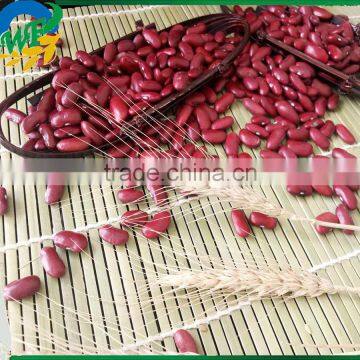 Top Organic Chinese Dark Red Kidney Beans photo-2