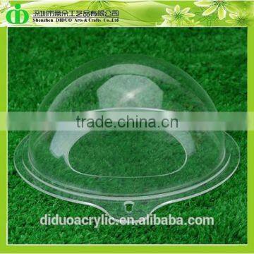 DDT-0055 Trade Assurance Cheap Aquarium Fish for Sale