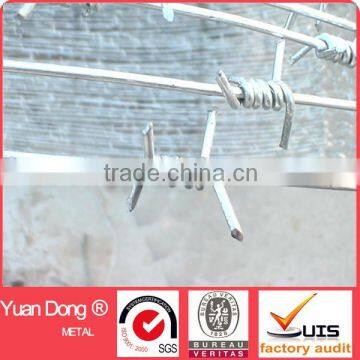 Hot sales galvanized barbed wire from China