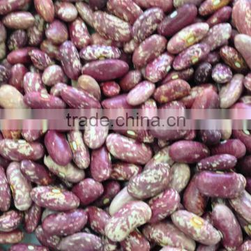 Red Speckled Kidney Beans