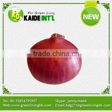 2016 China Buy Fresh Onion