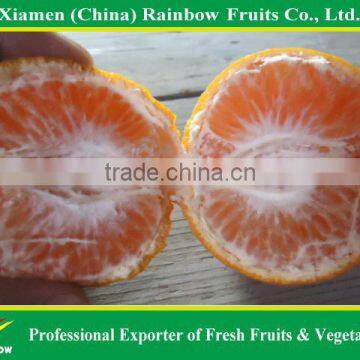 Fresh mandarin kino orange