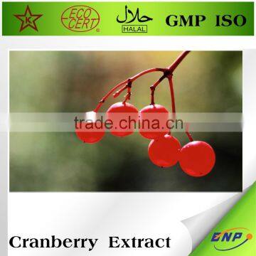 Mytext Cranberry Extract