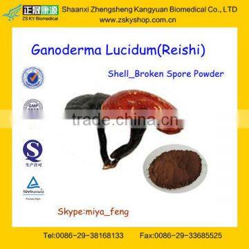 GMP factory supply 100% natrutal Ganoderma Lucidum Extract