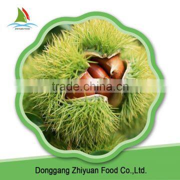 China Excellent Oganic Peeled Raw IQF Frozen Chestnut photo-5