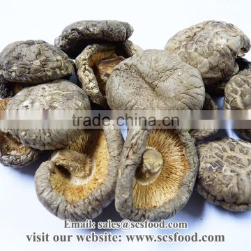 Dried Mushroom / Dried shiitakes