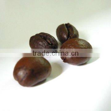 Robusta Coffee Bean photo-4