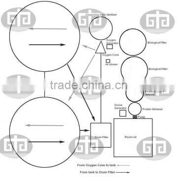 Aquaculture Factory Indoor Fish Farm Design photo-3