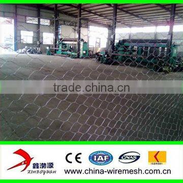 hexagonal wire mesh/chicken wire mesh for cultivation