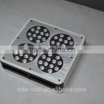 Hiah Quality Apollo Led Grow Lights Hydroponic photo-5