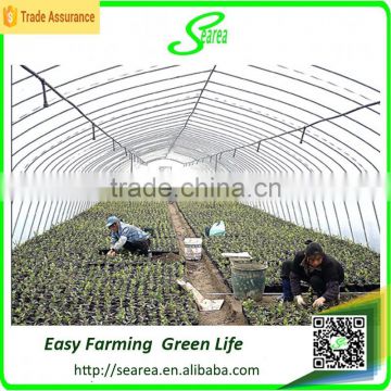 single span vegetable film greenhouse for sale