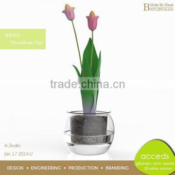 Glass Hydroponic Container for Home or Garden Decoration photo-2