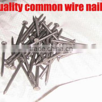 Construction and Building Common round iron nail