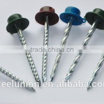 Twist shank roofing nails with plastic cap