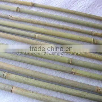 Nature Green Bamboo Poles