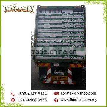 Flotex Floral Foam
