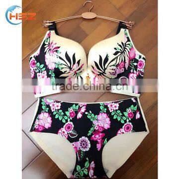 HSZ-Spcl5 Latest 2017 Fancy Bra And Panty New Design China Embroidered Lingerie Special Woman Hot Underwear Sexy Nighty And Bra