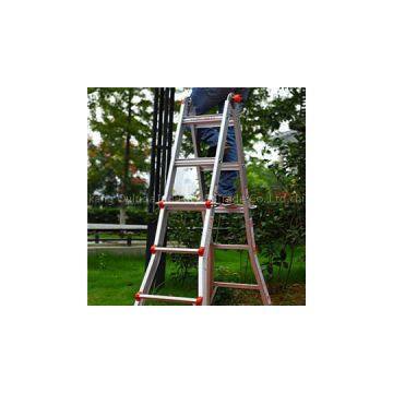 Heavy Duty Multipurpose Ladder