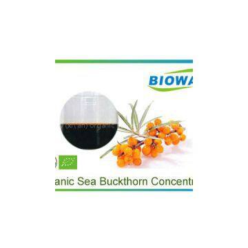 Organic Sea Buckthorn Concentrate