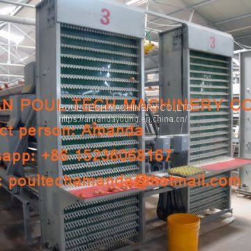 Mexico Poultry Farming A Frame Battery Layer Chicken Cage & Hen Coop & Chicken Cage with 120 birds for Chicken Farm