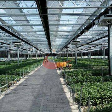 Commercial Agricultural Glass Greenhouse for Flower and Vegetables Glass Greenhouse photo-2