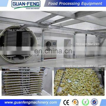 Industrial Lyophilizer Fruit Vegetable Vacuum Freeze Dryer Machine photo-3