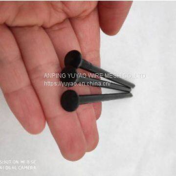 Hot Sale Black Galvanized Nails Black High Hardness Nail Black Nails for Construction photo-4