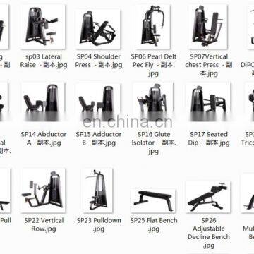 Professional Precor Fitness Exercise Machine Vertical Knees UP/DiP In Gym SP34
