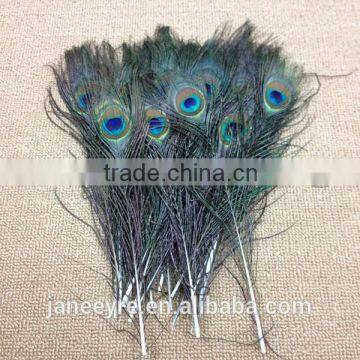 Custom Design Peacock Feather Wholesale photo-2