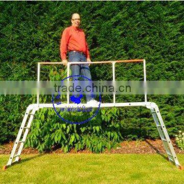Multi Purpose Ladder Safety Handrail