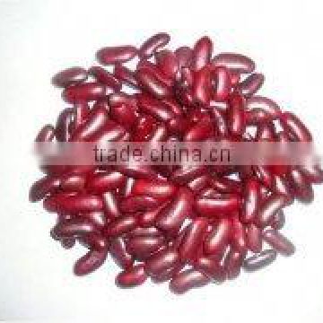 chinese red kidney beans