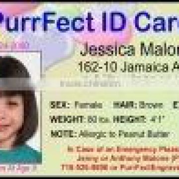 smart school ID card