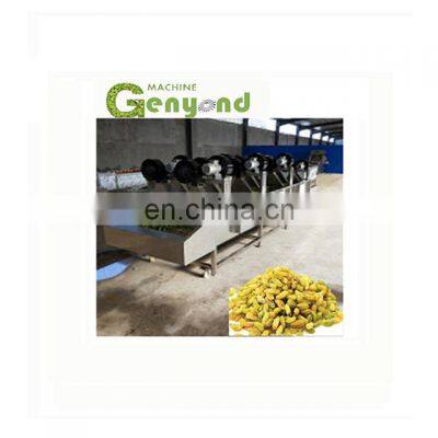 raisin production line