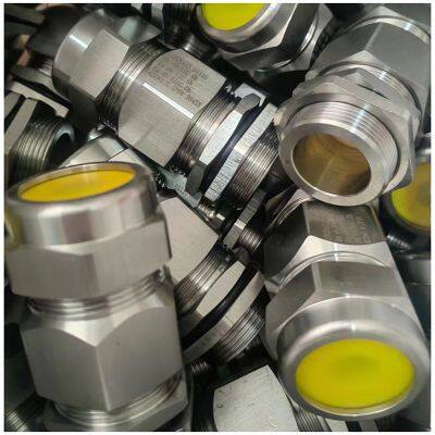 EX Cable Gland Electrical Armoured Electric Cable Gland Rubber Seal M12 M20 M25 Compress Cable Glands