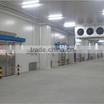 Dragon Fruit Refrigerating Room With Different Temperature photo-4